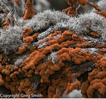 2018 Tour teaser photos