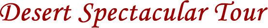 Desert Spectacular Tour