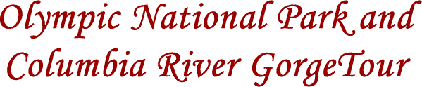Olympic National Park and the Columbia River Gorge Tour